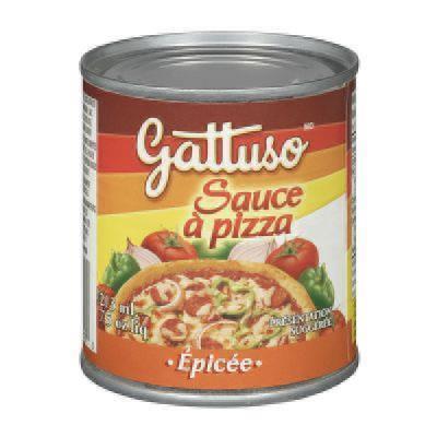 CH0035-1OU : Gattuso CH0035-1OU : Condiments - Sauces - Sauce Pizza épicée GATTUSO, sauce PIZZA épicée, 24 x 213 ML