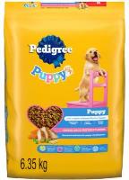 XCA0019-OU : Nour. Chiot Poulet & Légumes